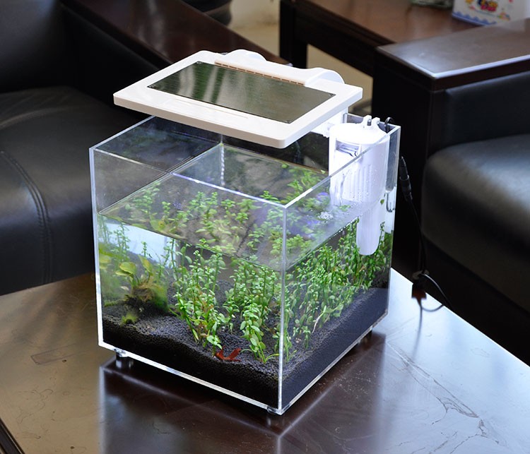Mini Acrylic (25*25*25cm) Sale - Aquarium Fish For Sale review and price