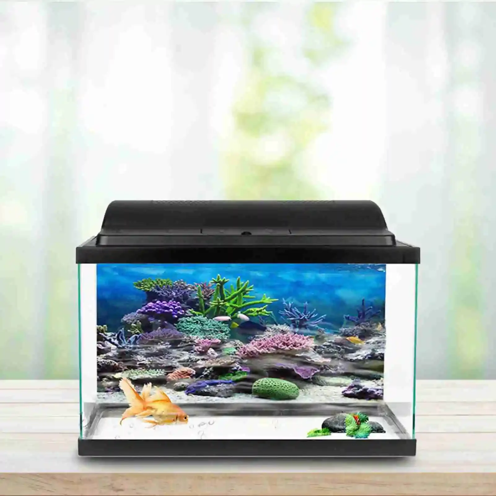 3D Aquarium Landscape Poster R - Aquarium Fish Wallpaper Hd review and price