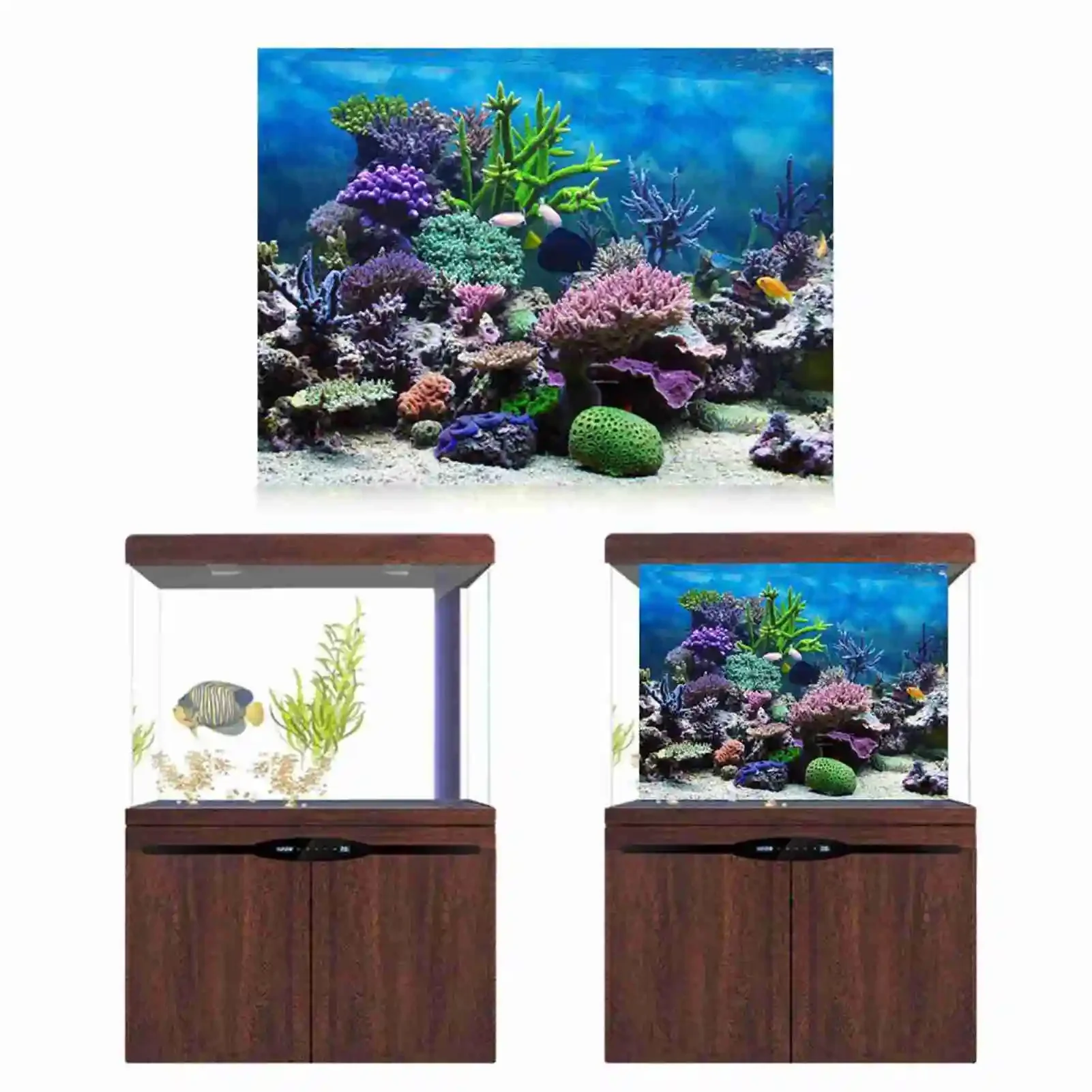 3D Aquarium Landscape Poster R - Aquarium Fish Wallpaper Hd review and price