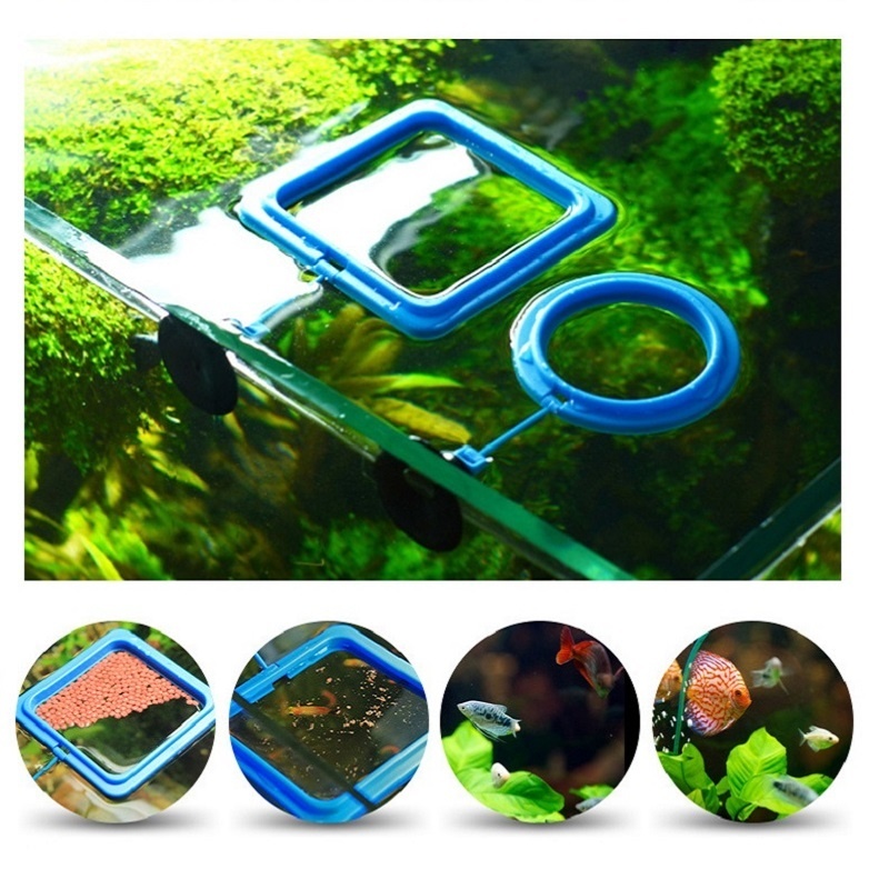 Fish Feeding Ring Feeder Fishi - Tetra Food Tropical Flakes review and price