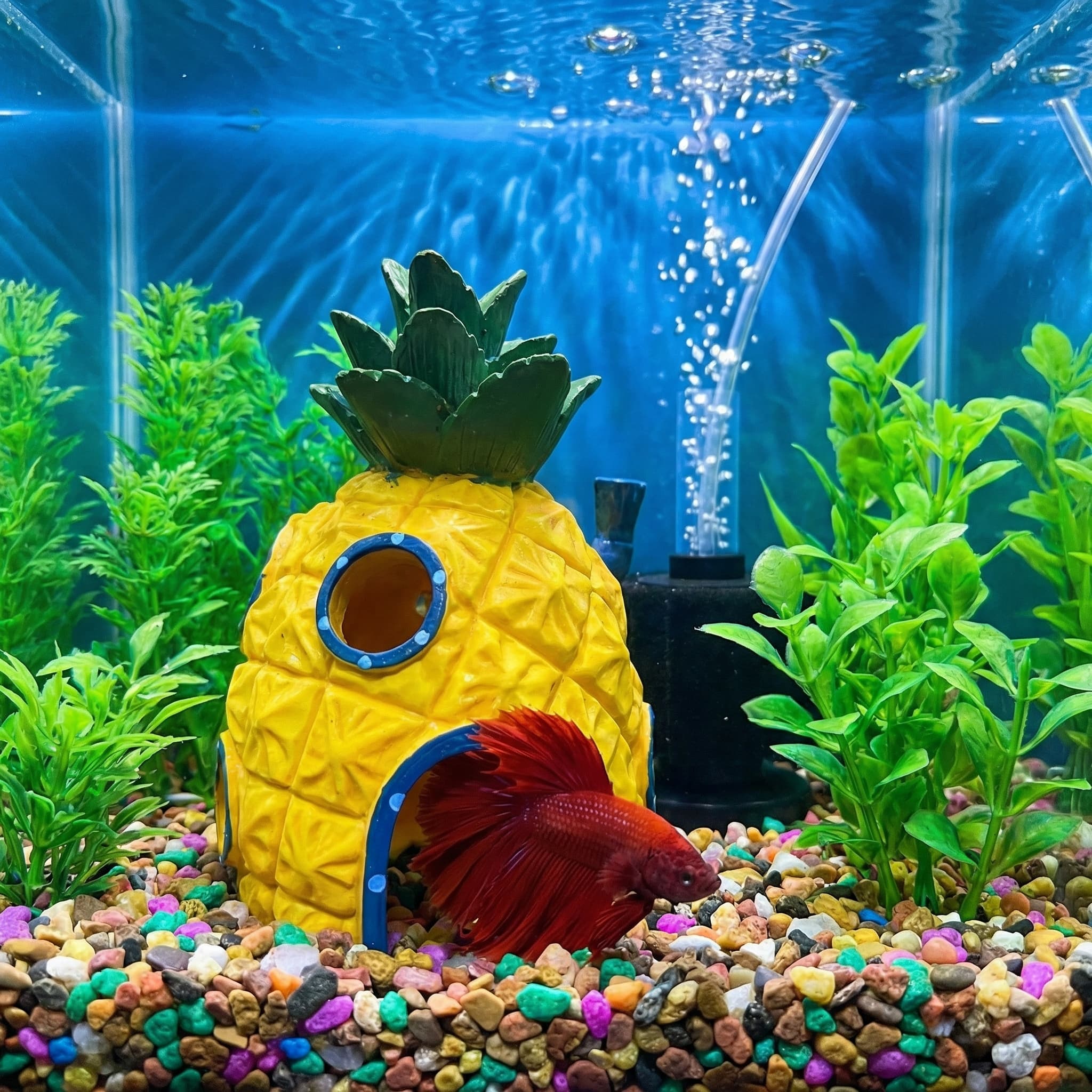 Pineapple House Aquarium Decor - Aquarium Fish Hide review and price