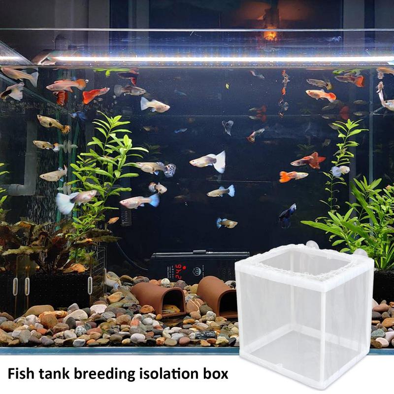 Fish Breeder Box with Suction, - Aquarium Fish Jar review and price