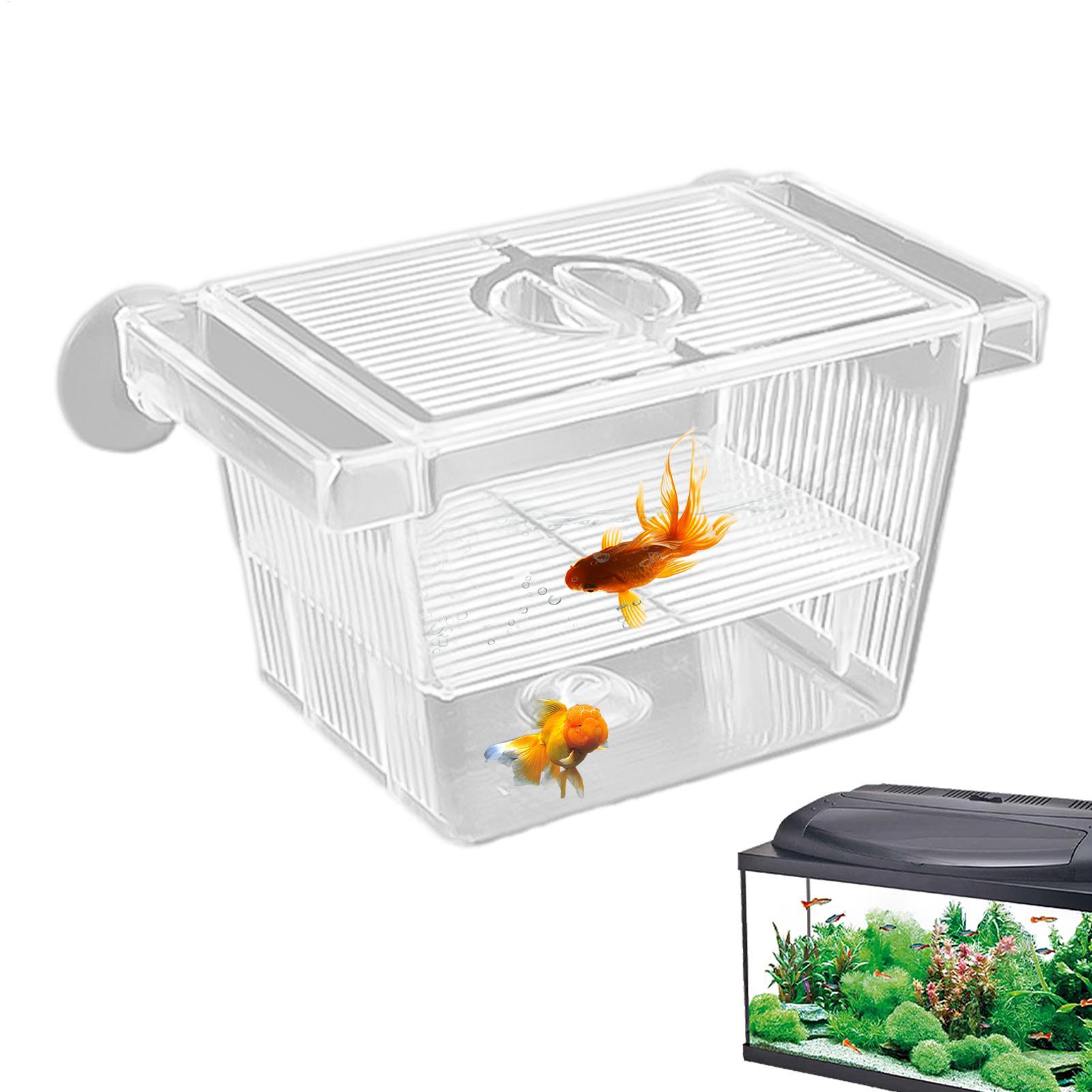 Aquarium Hatchery Acrylic Isol - Aquarium Fish Jar review and price