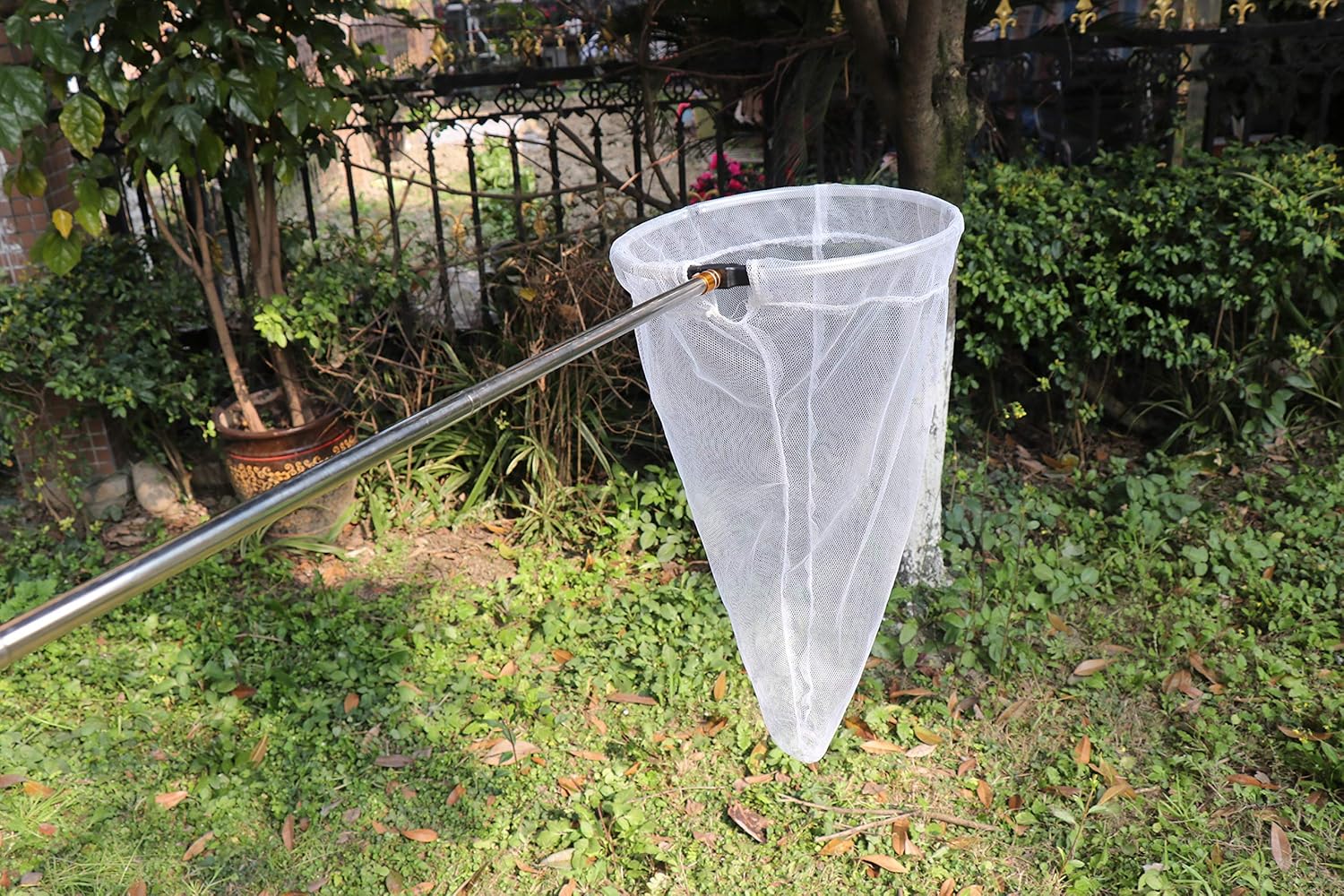 Professional Insect and Butter - Fish Net Handle review and price