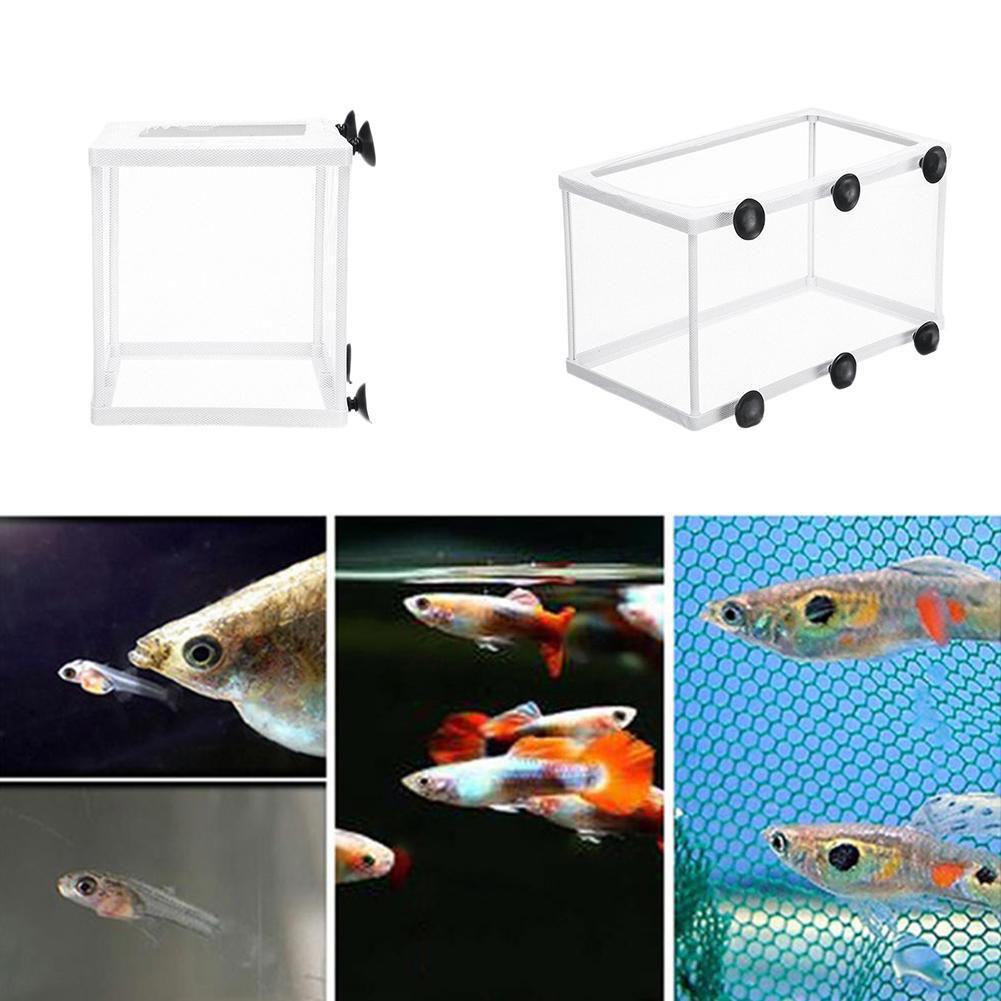 Hatchery Isolation Box for Aqu - Aquarium Fish Jar review and price