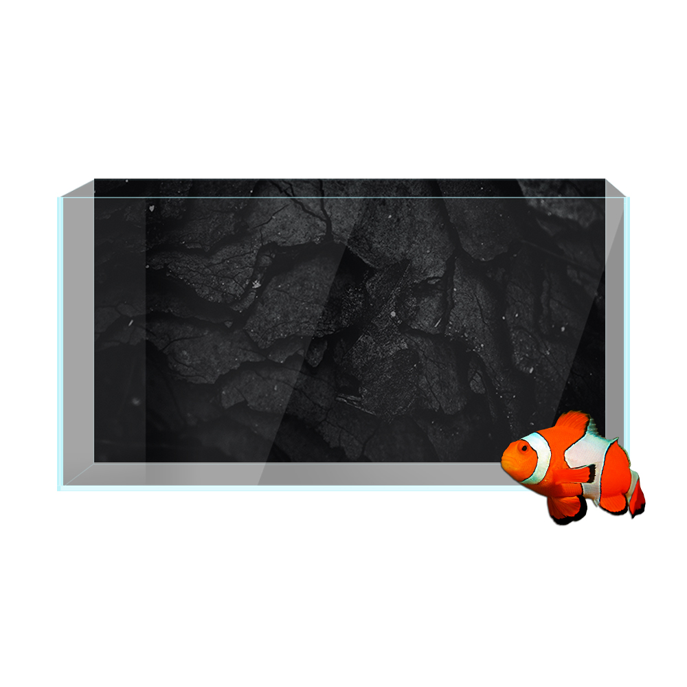 Aquarium Background Sticker, R - Aquarium Fish Wallpaper Hd review and price