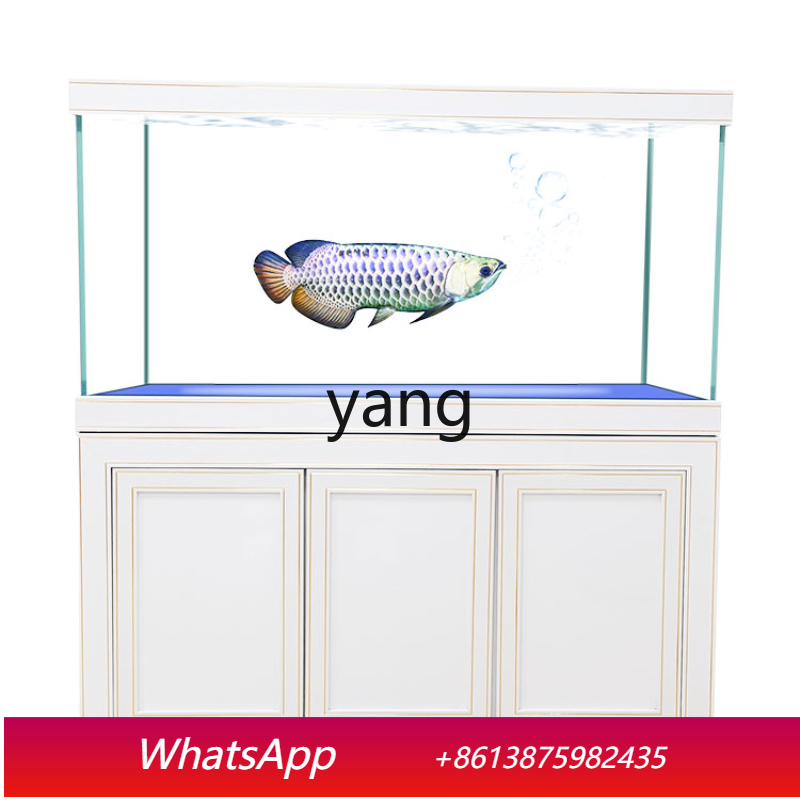 LH Super White Glass Medium an - Aquarium Fish Dragon review and price
