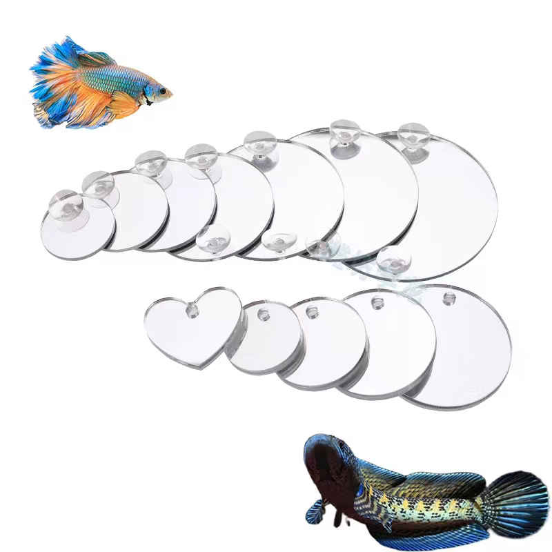 Aquarium Betta Mirror Fish Tan - Aquarium Fish Cichlid review and price
