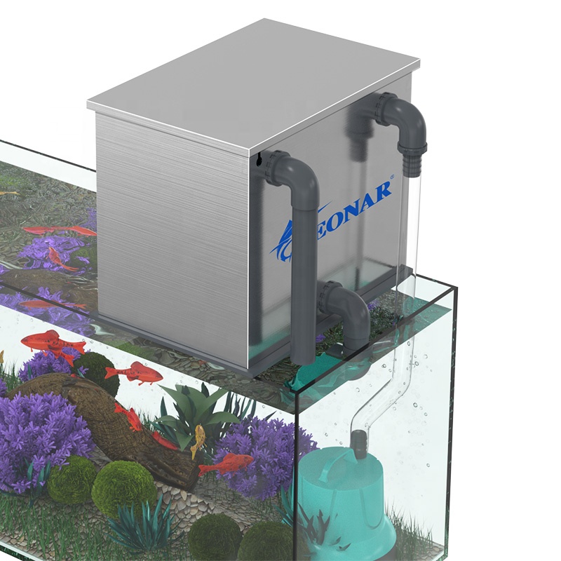 Factory Direct Sales Aquarium  - Aquarium Fish For Sale review and price