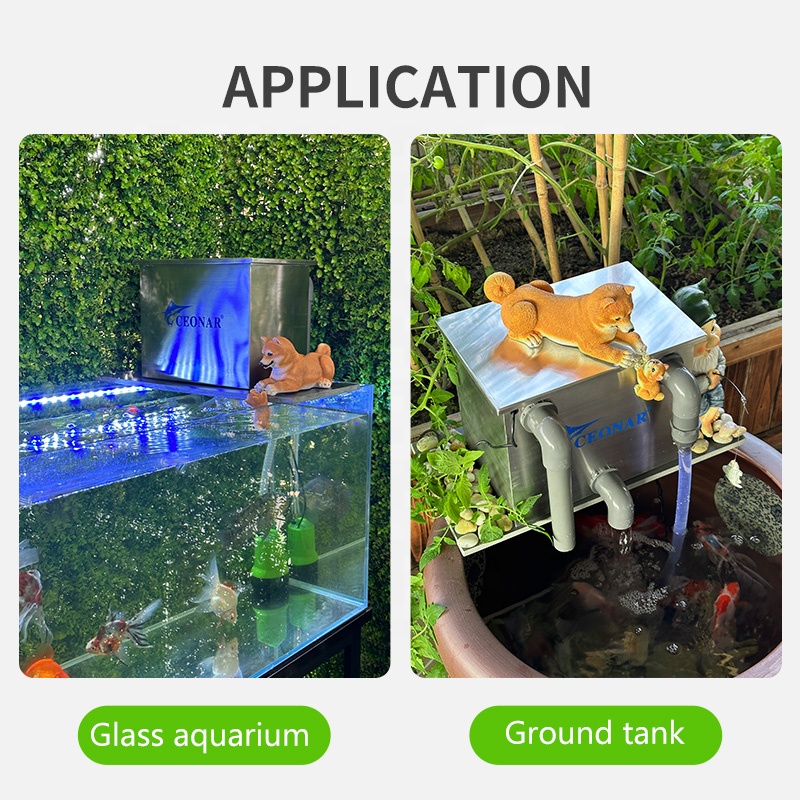 Factory Direct Sales Aquarium  - Aquarium Fish For Sale review and price