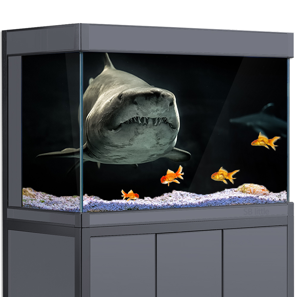 Aquarium Background 3D Shark B - Aquarium Fish Wallpaper Hd review and price